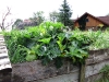 hochbeet-in-hanglage-nah