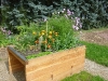 hochbeete_mustergarten_holzhochbeet_1