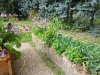 hochbeete_mustergarten_naturbeet_1