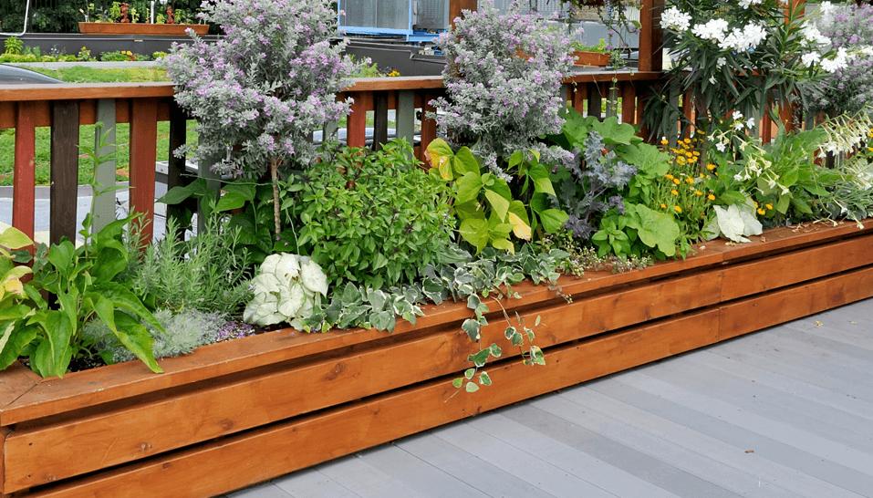 Balkon & terrasse als standorte für dein hochbeet